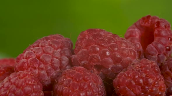 Red Juicy Raspberry on Green Background