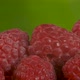 Red Juicy Raspberry on Green Background - VideoHive Item for Sale