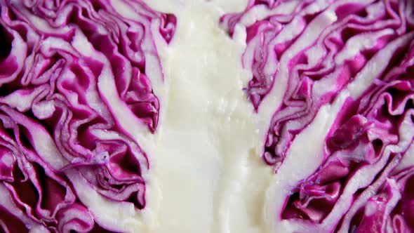 Halved red cabbage 4k alt