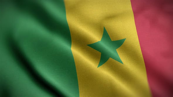 Senegal Flag Closeup Blowing In Wind alt