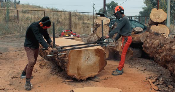 Lumberjack cutting tree trunk with giant chainsaw to make wooden planks alt