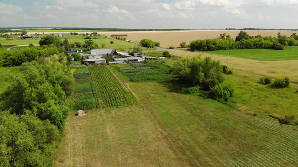 Beautiful Rural Summer Landscape From a Height in Russia