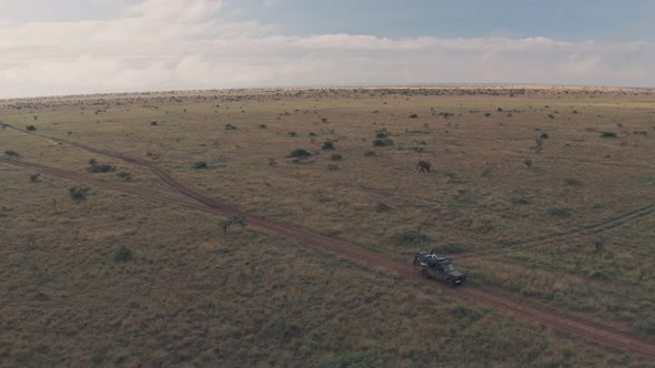 Elephant sighting while on wildlife safari holiday in Laikipia, Kenya. Aerial drone view alt