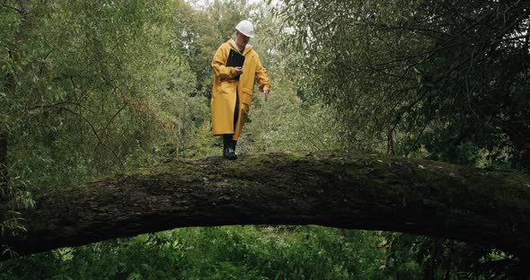 Ecologist Man in Helmet Stands on Fallen Tree and Shows Workers How to Cut It