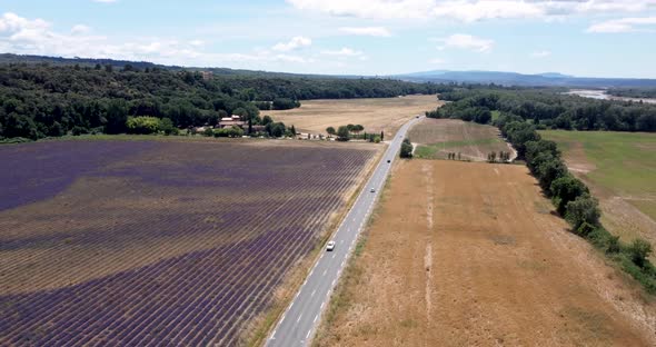 Aerial View of Lavender Flower Field in France Provence July 2021 Mini 2