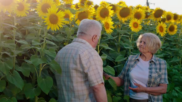 An Elder Couple is Standing in the Middle of a alt