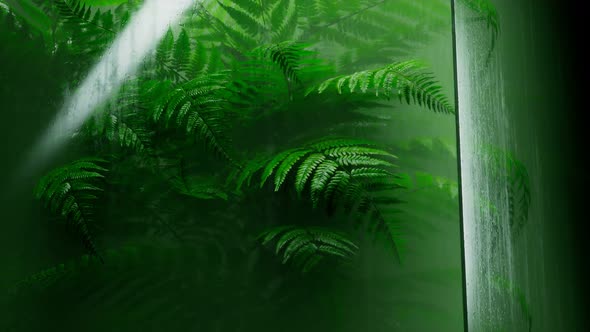Beautiful fern behind the wet glass. Natural forest's plants in the greenhouse. alt