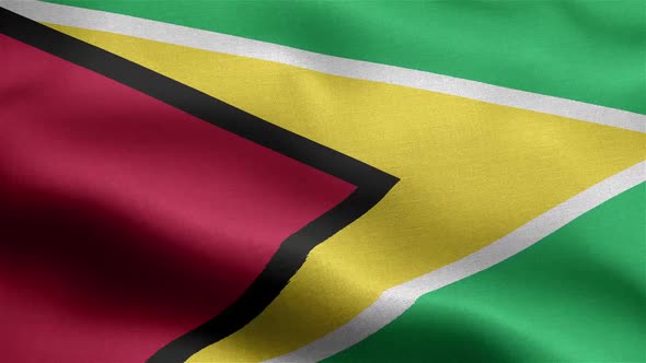 Guyana Flag Seamless Closeup Waving Animation alt