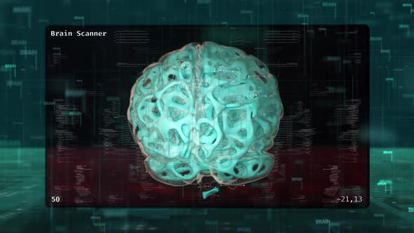 HUD UI Human Brain Scanner