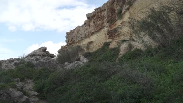 Thick Greenery Grows on Limestone Rock of Il-Qarraba During Windy Day in Malta