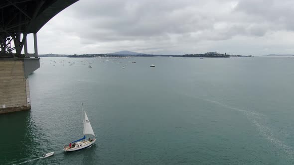 Viaduct Harbour, Auckland New Zealand alt