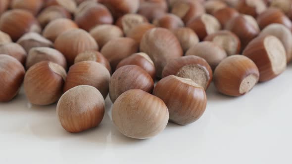 Close-up of Corylus avellana nuts 4K 2160p 30fps UltraHD tilting footage - Whole hazelnuts on white  alt