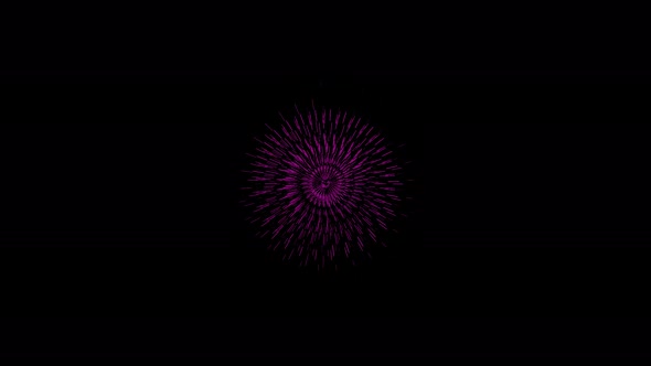 Circular Purple Pattern Animation