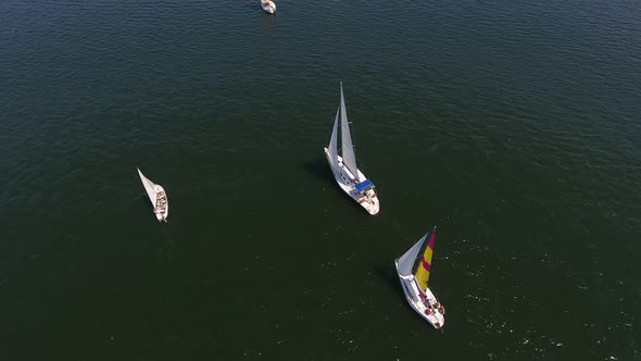 Aerial Shot of One-mast Yachts Competing in the Dnipro River on a Sunny Day  