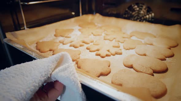 Baking gingerbread cookies