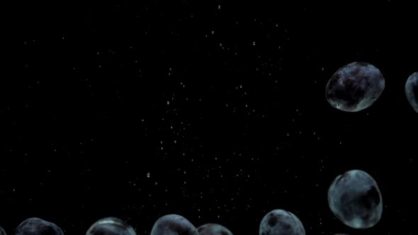 Slow Motion Blue Plums Falling Into Transparent Water on Black Background alt