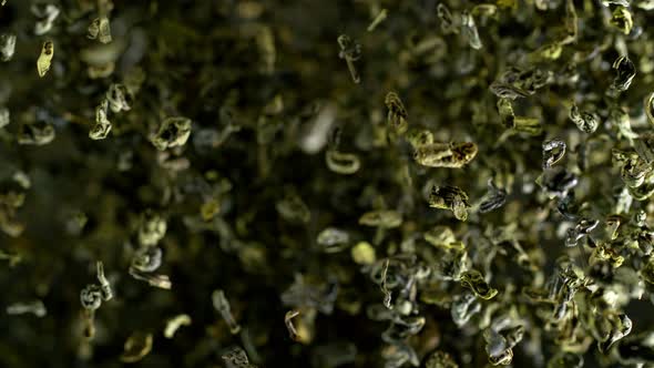 Super Slow Motion Shot of Dried Green Tea Explosion Isolated on Black Background at 1000Fps alt