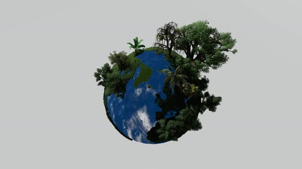 Trees that grow on the earth alt
