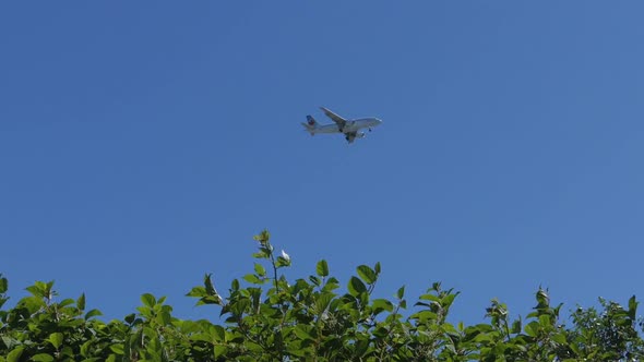 Canadian Airliner Flying Over Plants alt