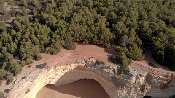 The beautiful, lush green forest of Benagil, Portugal by beach and rocky cliffs - Aerial shot alt
