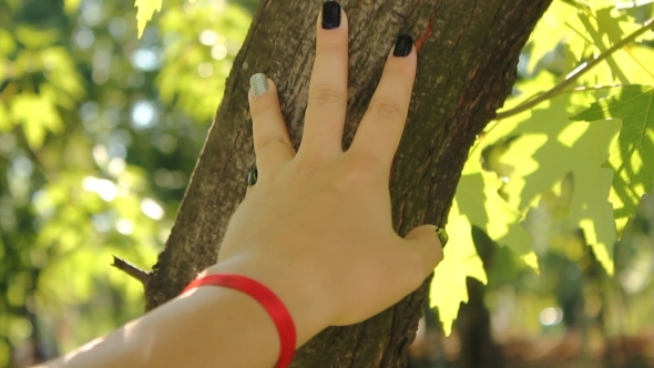 Feeling The Nature 2 alt