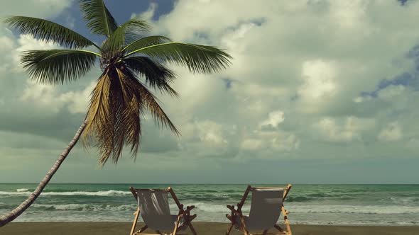 Travel to the beach with palm trees and deck chair near the sea.