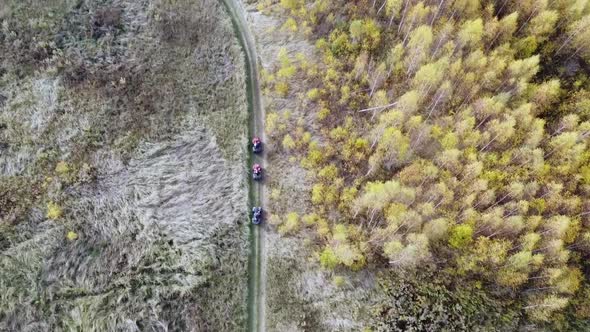 DRIVERS of ATVs Buggies in the Autumn Forest Shooting From a Quadcopter
