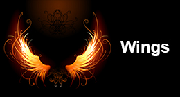Wings