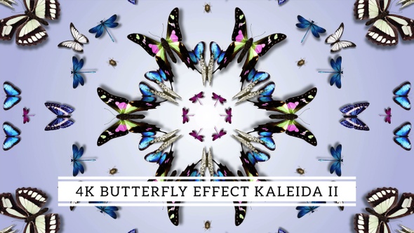 4K Butterfly Effect Kaleida II