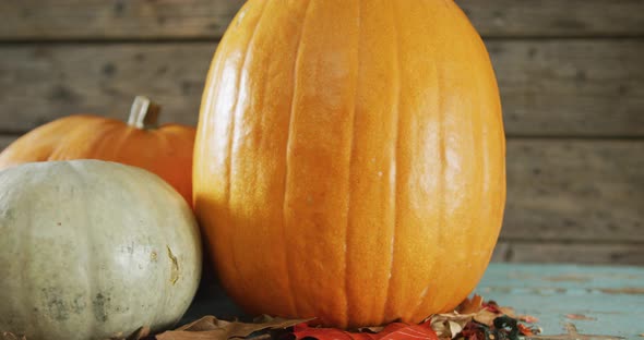 Composition of halloween orange pumpkins against rustic wooden surface alt