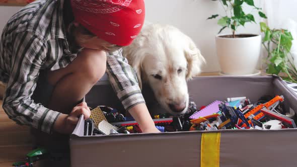 Funny Video. Love for Pets. a Big White Dog Helps Little Boy To Look for Details for a Constructor