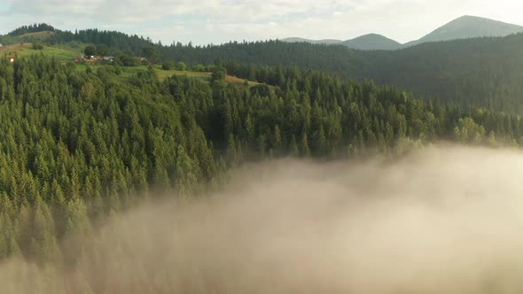 Misty Dawn in the Mountains. Beautiful Landscape