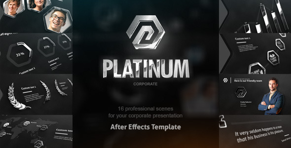 Platinum Corporate Package