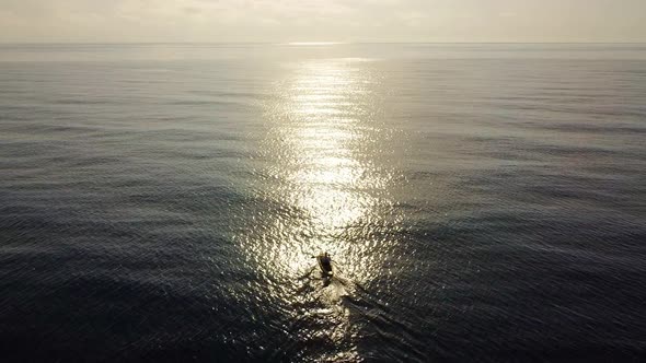 Fisherman trolling in kayak at mediterranean sea aerial drone view during sunrise. alt