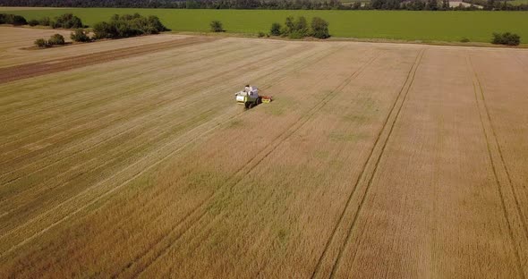 Flight Over A Field With A Combine Harvester That Collects Wheat In The Summer