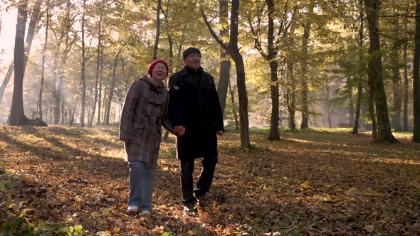 Cheerful Old Couple Walking on Fallen Leaves alt