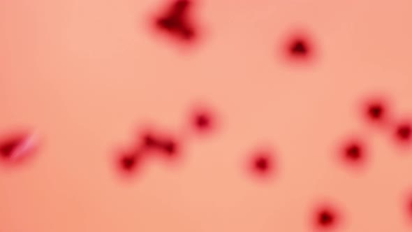 Red heart-shaped sequins are spinning in a circle on a red background