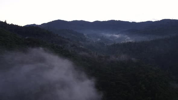 Misty Morning Rainforest Drone Shot