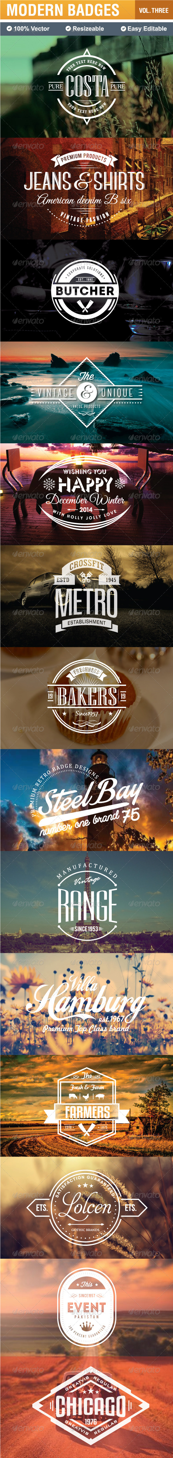 Modern Badges and Labels - Badges & Stickers Web Elements