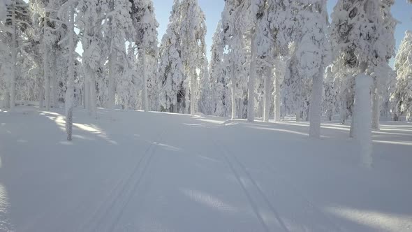 Moving along an empty cross country track in snowy forest in Lapland Finland alt