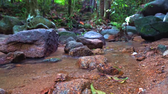 Mountain Stream in A Beautiful Forest. Fresh Pure Mountain Water. Beautiful Landscape alt