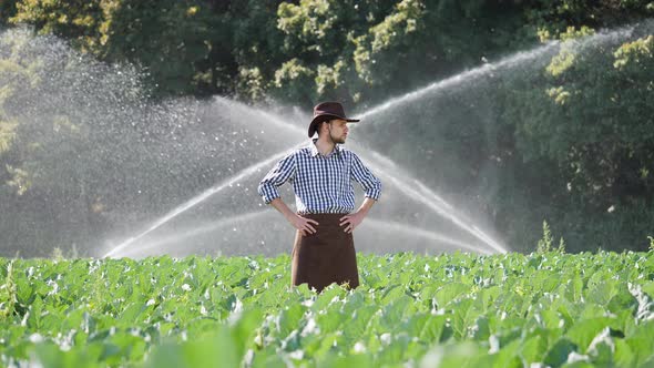 Farmer Standing on His Plantation During Working of Water Sprinkler System alt