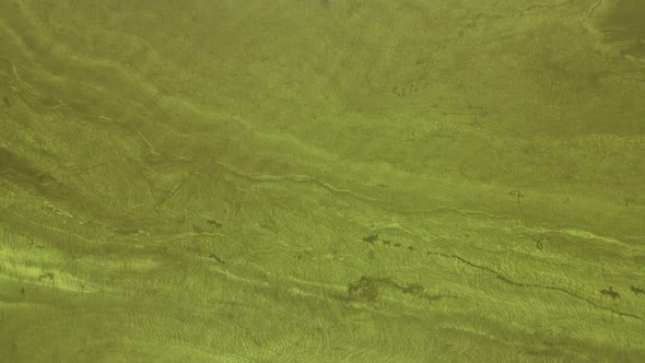 Aerial View From Top Down From a High Altitude on the River Bloom Texture of River Water