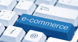 WordPress eCommerce Plugins