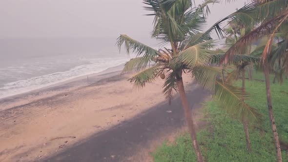 Palm trees on a sandy beach in Kerala, India. Aerial drone view alt