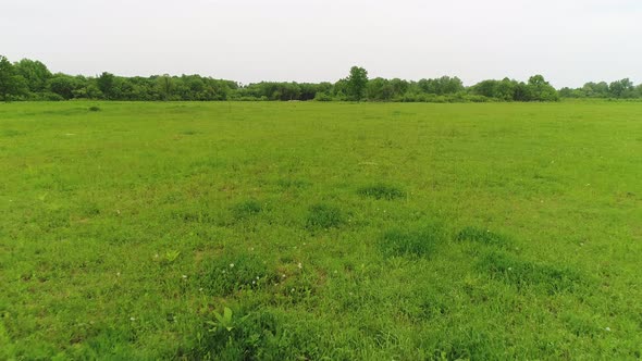 Green Field with Grass Pasture for Livestock Next to the Farm alt