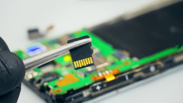 A Technician Holds a microSD Card in a Repair Service Center alt
