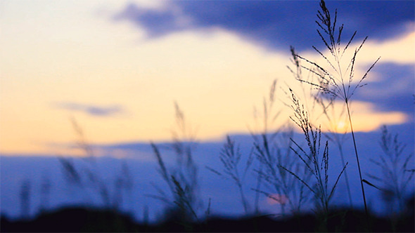 Before Sunset Moment