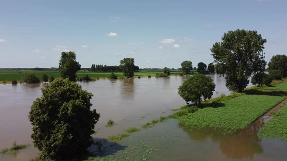 Floodplains and drowned trees at river Maas in the Netherlands, Aerial alt