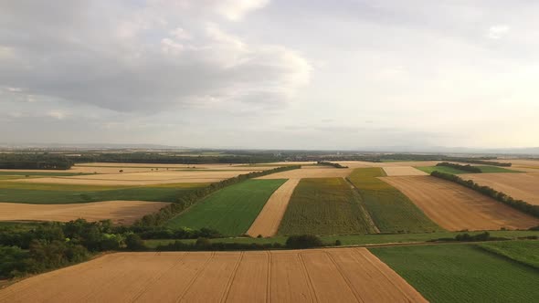 Aerial View Agriculture Fields